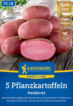 Kiepenkerl Pflanzkartoffel Heiderot 5 Stück