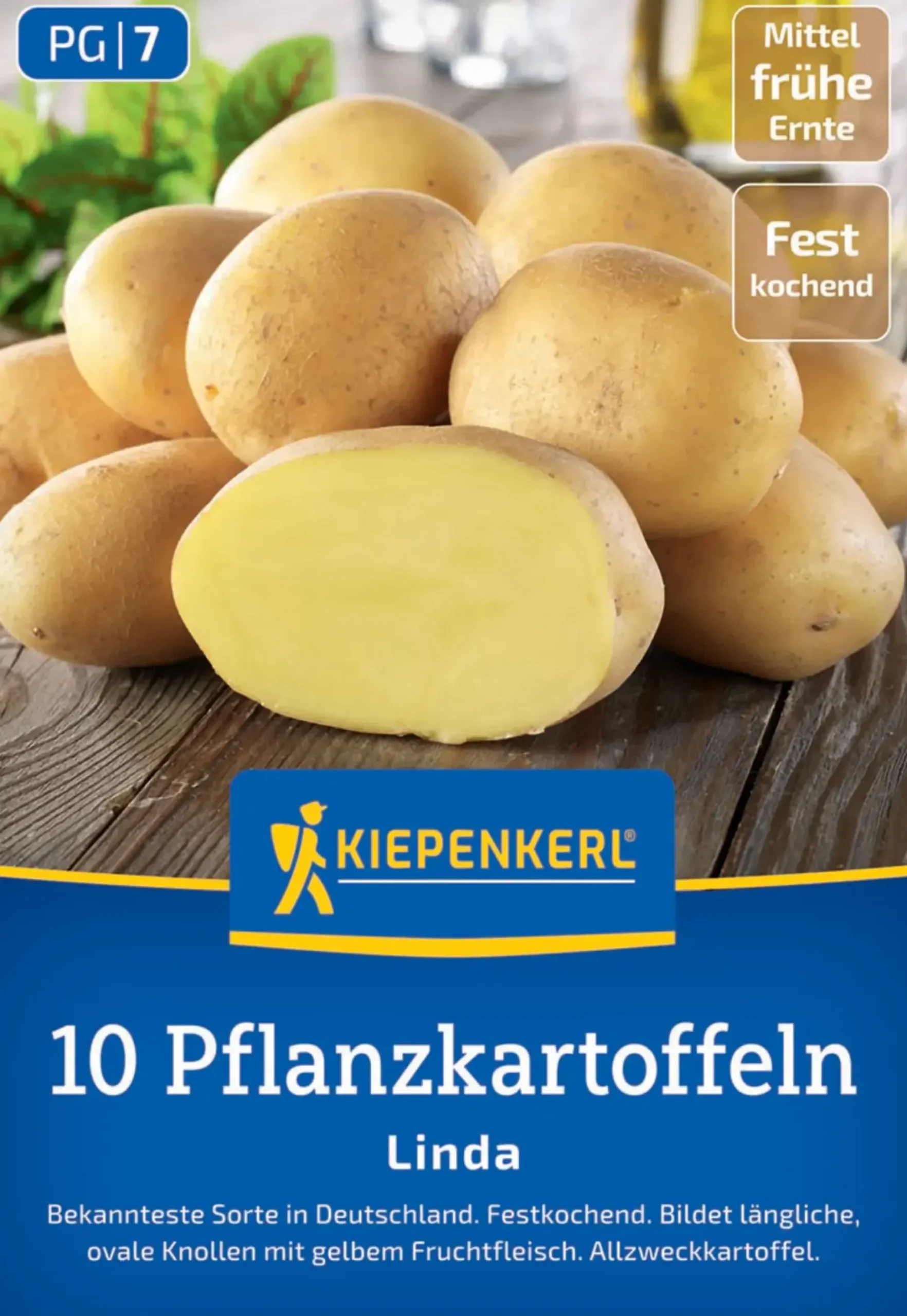 Kiepenkerl Pflanzkartoffel Linda 10 Stück