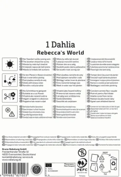 Kiepenkerl Profi-Line Frühjahrsblumenzwiebel Dekorative Dahlie Rebecca's World 1 Stück