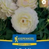 Kiepenkerl Profi-Line Frühjahrsblumenzwiebel Dekorative Dahlie Sandia Serenity 1 Stück