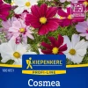 Kiepenkerl Profi-Line Saatgut Cosmea Sonata Mischung für ca. 40 Pflanzen