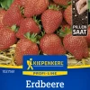 Kiepenkerl Profi-Line Saatgut Erdbeere Elan F1 Pillensaat für ca. 6 Pflanzen