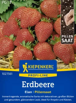 Kiepenkerl Profi-Line Saatgut Erdbeere Elan F1 Pillensaat für ca. 6 Pflanzen