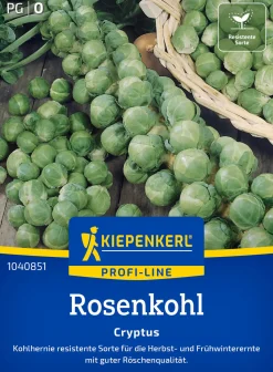 Kiepenkerl Profi-Line Saatgut Rosenkohl Cryptus F1 für ca. 10 Pflanzen