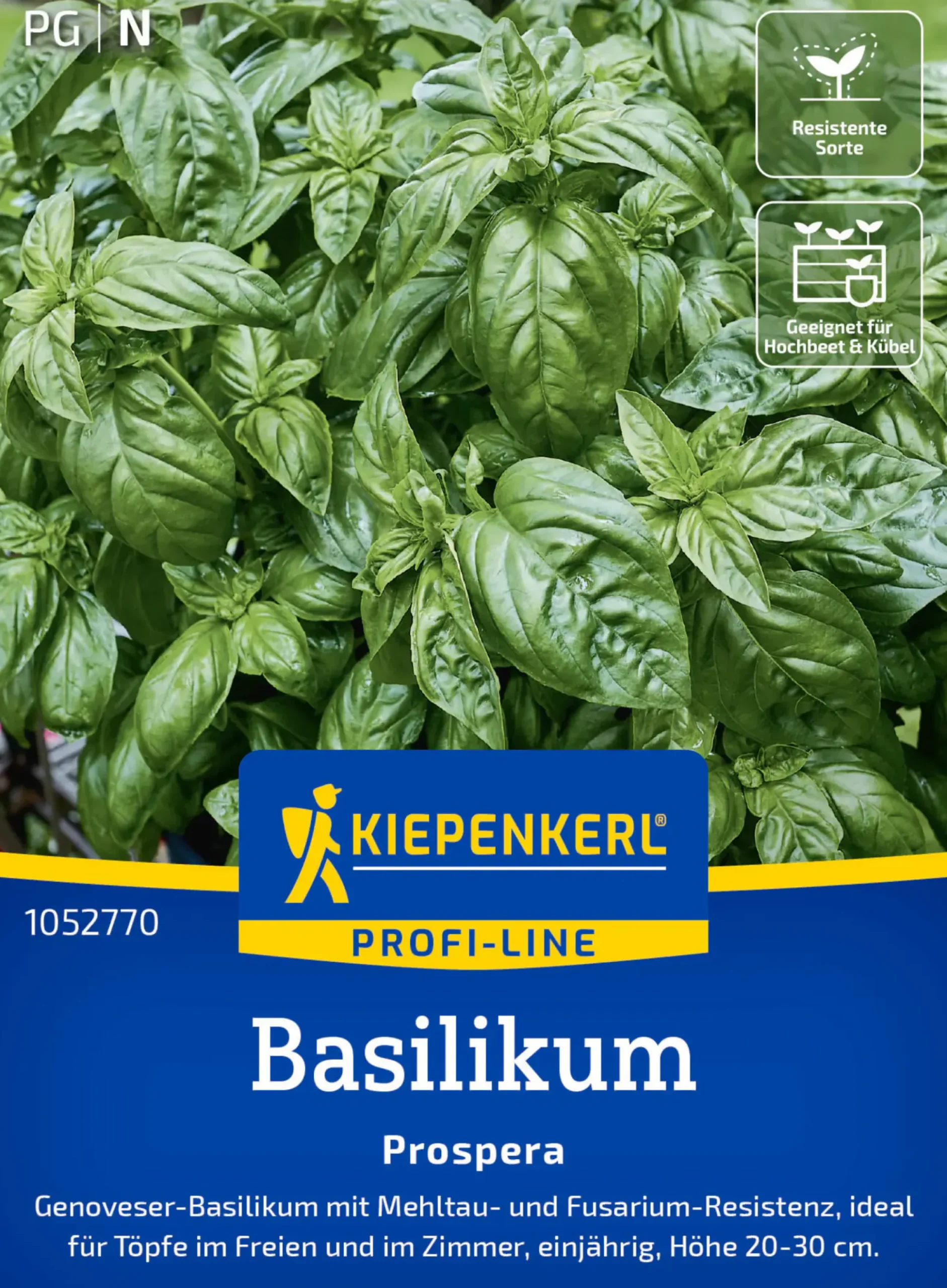 Kiepenkerl Profi-Line Saatgut Basilikum Prospera F1 für ca. 50 Pflanzen