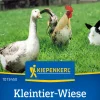 Kiepenkerl Rasensamen Kleintier-Wiese Gräser- und Kleemischung für ca. 1 m²