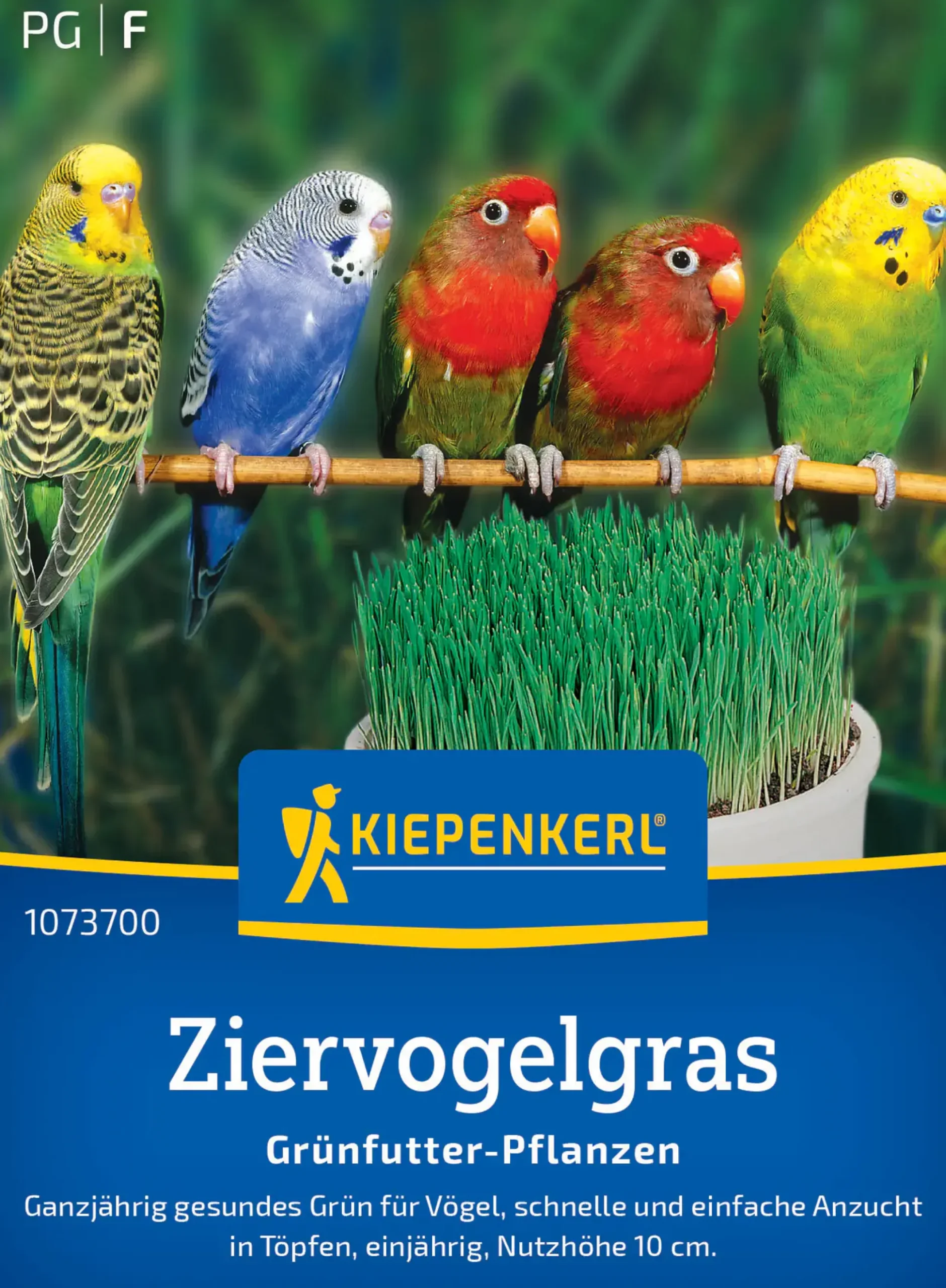 Kiepenkerl Rasensamen Ziervogelgras Frischgrün Mischung für ca. 1 m²