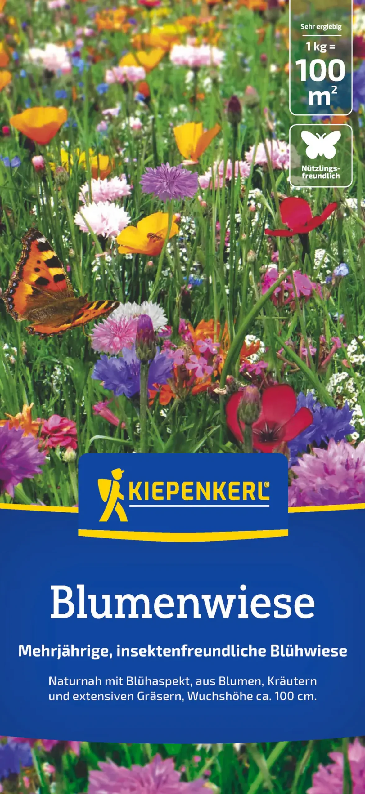 Kiepenkerl Saatgut Kiepenkerl Blumenwiese für ca. 100 m²