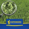 Kiepenkerl Saatgut Naturrasen 1 kg für ca. 50 m²