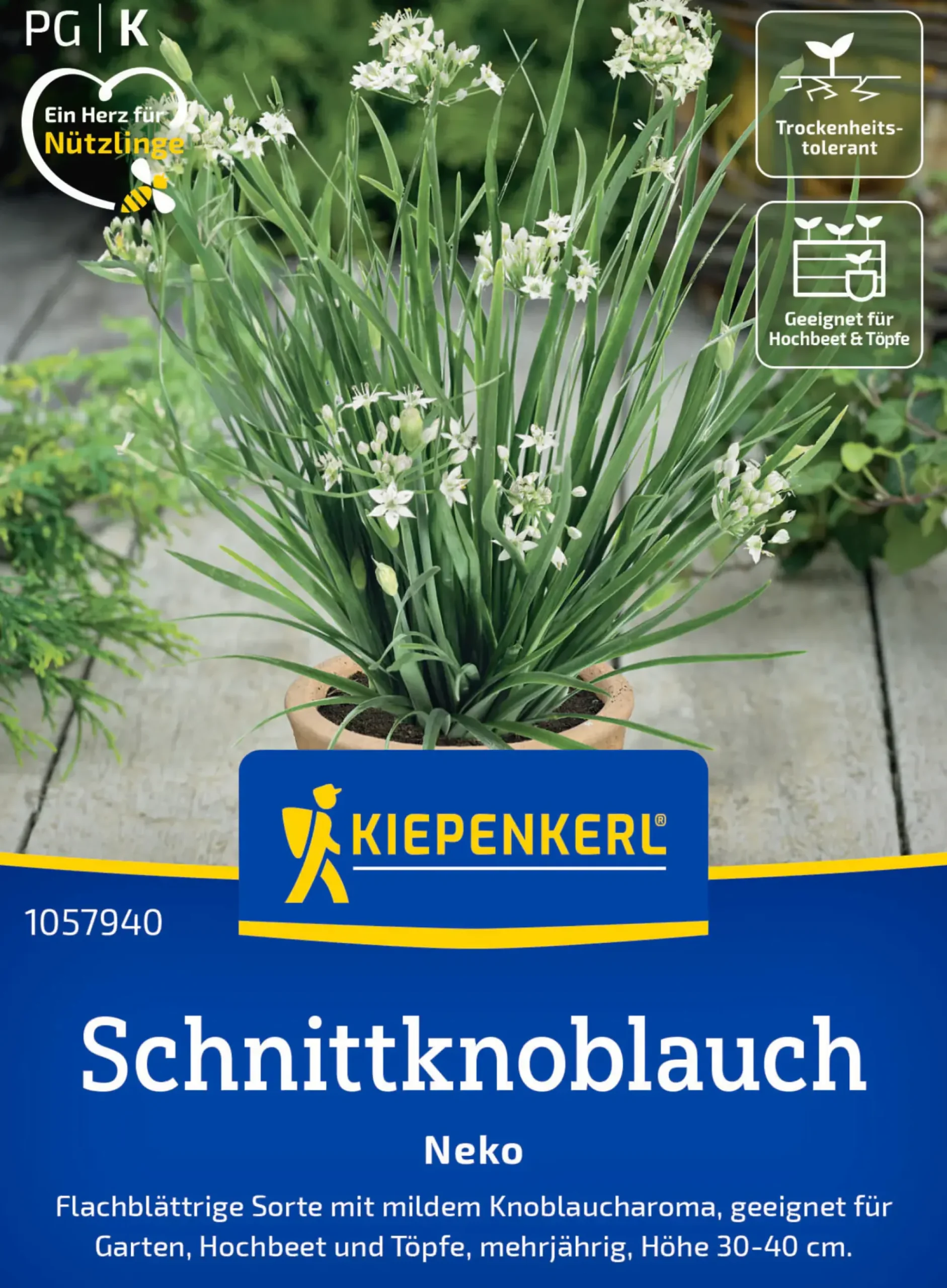 Kiepenkerl Saatgut Schnittknoblauch Neko für ca. 100 Pflanzen