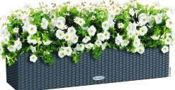 Lechuza Balkonkasten BALCONERA Cottage 80 cm, granit
