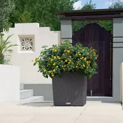 Lechuza Pflanzgefäß Cube Cottage 40 granit