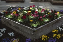 Ledvance LED Außenleuchte Smart+ WiFi Garden Dot klar 18 Dots 9m