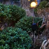 Näve Solar-Gartenleuchte LED Mond 87,5 cm silber