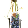 Obststrauch Heidelbeere H ca 45 cm 2 L Eckcontainer
