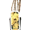 Obststrauch Weiße Johannisbeere 2 L Eck-Container