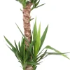 Palmlilie Yucca H 130 cm 24 cm Topf