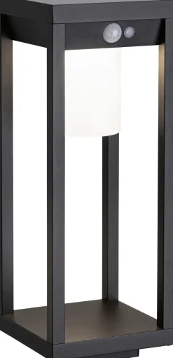 Paulmann LED Solarleuchte Marisol schwarz 40 x 15cm mit Bewegungsmelder