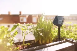 Paulmann LED-Stripe Solar 3 m Dämmerungssensor Akku schwarz kürzbar RGB