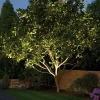Paulmann Plug & Shine Bodeneinbauleuchte Outdoor schwenkbar