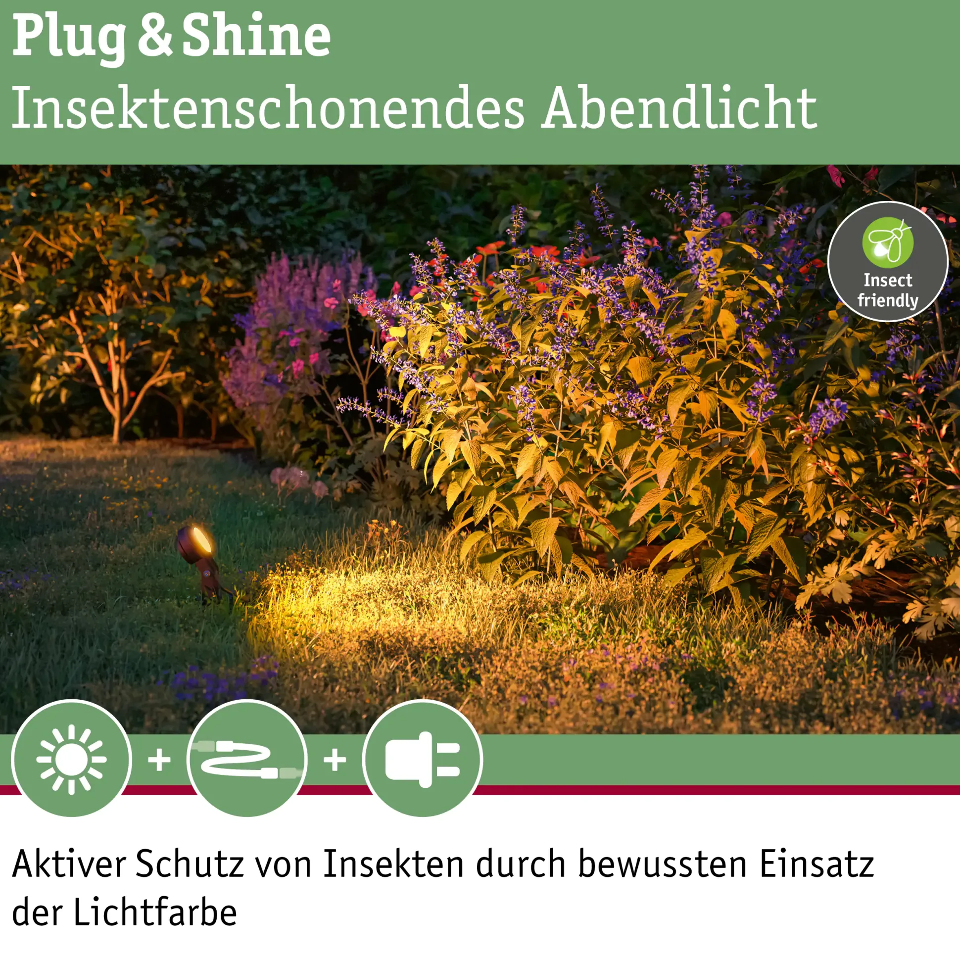 Paulmann Plug & Shine LED Spot Sting insect-friendly anthrazit 3er-Set