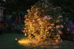 Paulmann Plug & Shine LED Spot Sting insect-friendly anthrazit 29 x 5,2 cm