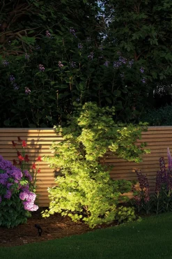Paulmann Plug & Shine Spot Sting Ergänzungsset Outdoor 3er-Set