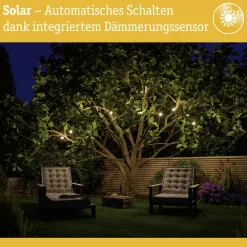 Paulmann Solar-Lichterkette Aurinka 8 m 60 LED warmweiß