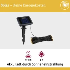 Paulmann Solar-Lichterkette Aurinka 8 m 60 LED warmweiß