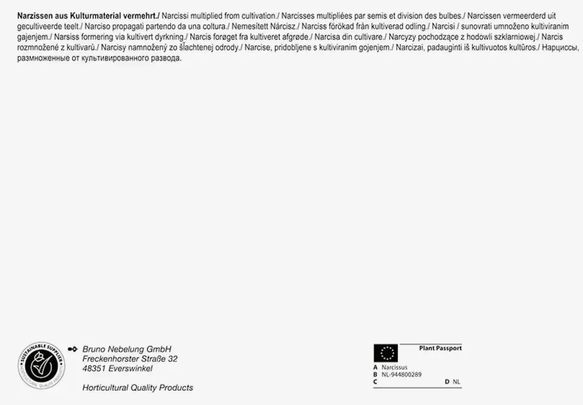 Pegasus BigBag Narzissen Trompetenmischung Narcissus pseudonarcissus