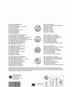 Pegasus Herbstblumenzwiebel Big Bag Triumph Tulpe Mischung 32 Stück