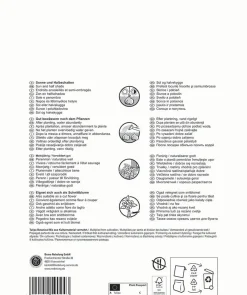 Pegasus Herbstblumenzwiebel Big Bag Bienentulpen Mischung 60 Stück