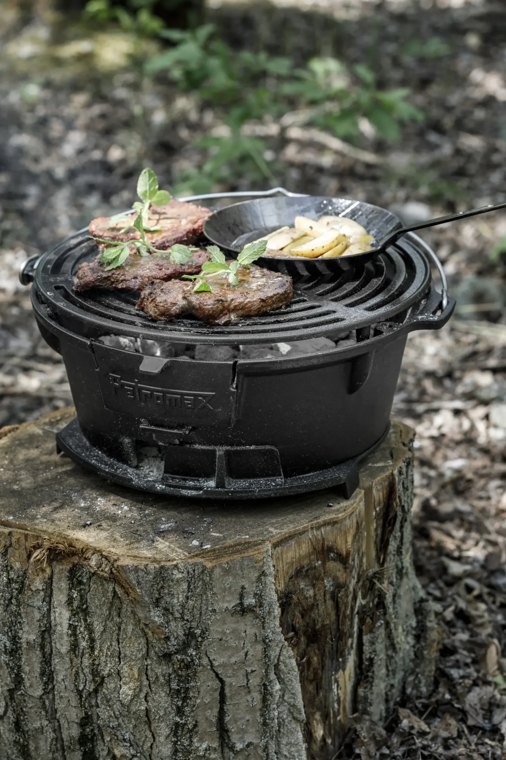 Petromax Feuergrill TG3
