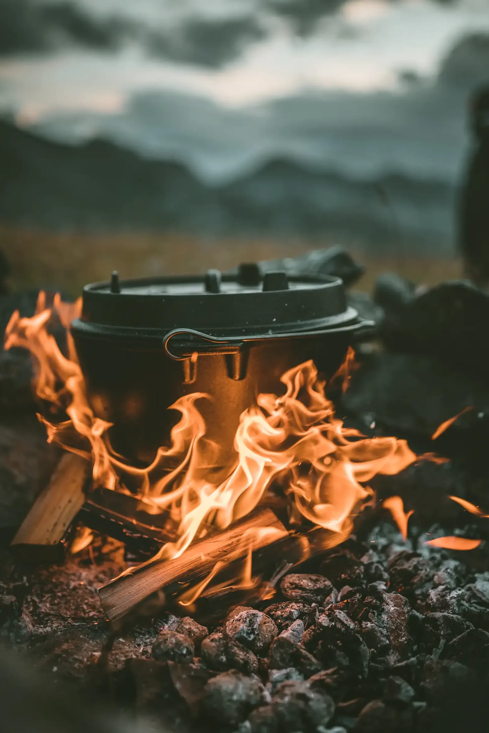Petromax Feuertopf Dutch oven ft9