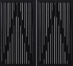 Plus Doppeltor Nagano 200 x 180 cm RAL 9005 Schwarz