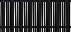 Plus Zaun Nagano180 x 80 cm RAL 9005 Schwarz