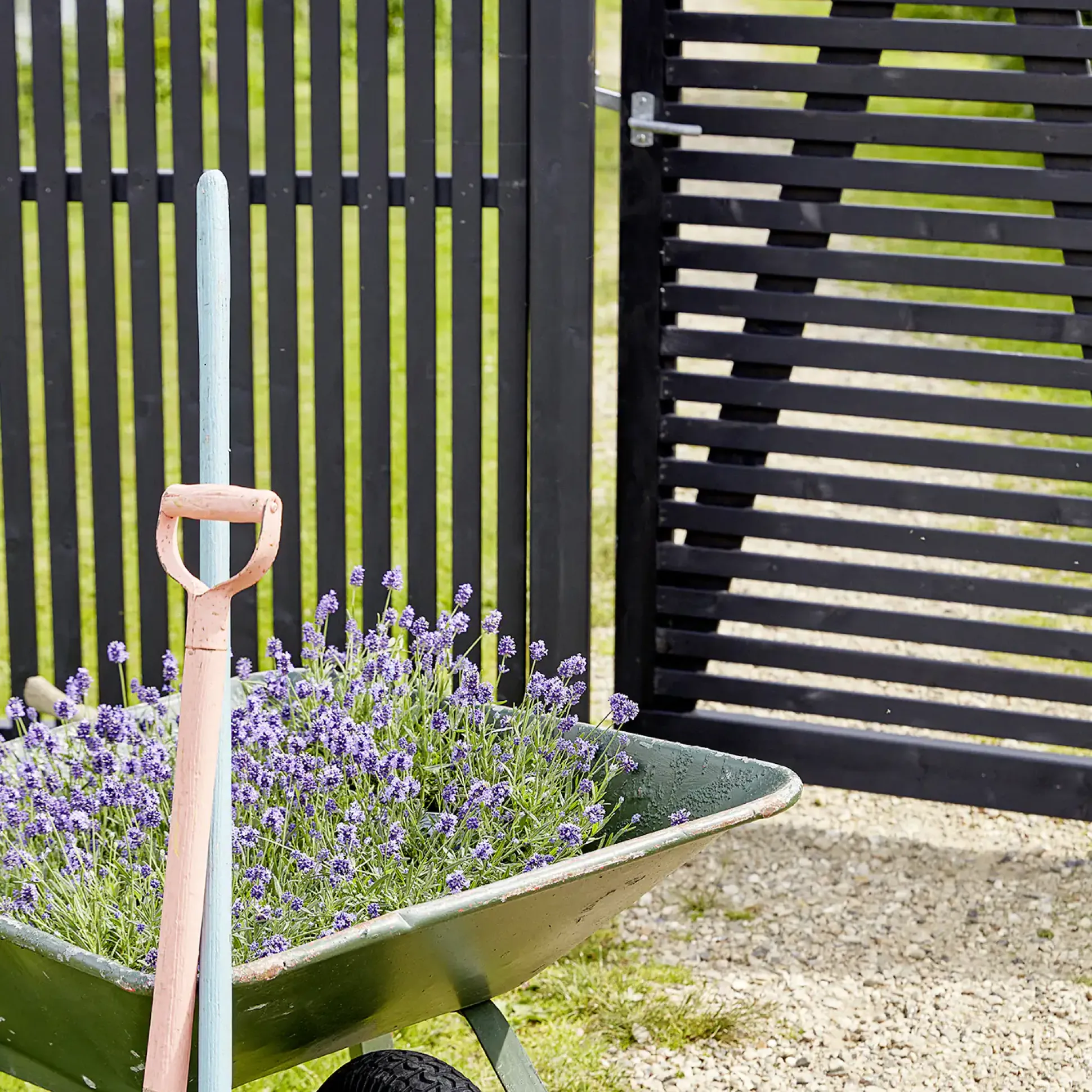 Plus Zaun Sendai 180 x 180 cm RAL 9005 Schwarz
