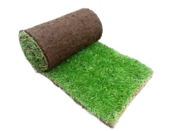 Premoplan Rollrasen Premium ab 30 m²