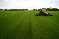 Premoplan Rollrasen Premium ab 30 m²