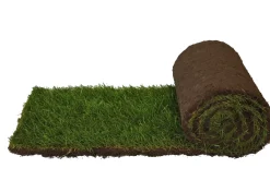 Premoplan Rollrasen Sport- und Spiel ab 30 m²