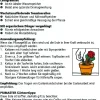 Primaster Bio Kakteen- & Sukkulentenerde torffrei 10 L