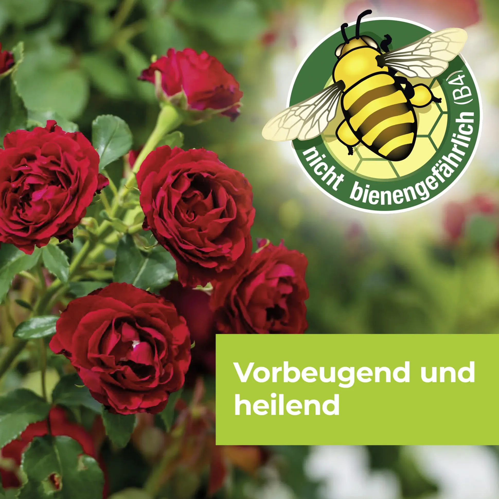 Protect Garden Curamat AZ Rosen-Pilzfrei 15 ml