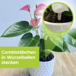 Protect Garden Lizetan Plus Combistäbchen 2 in 1 10 Stück