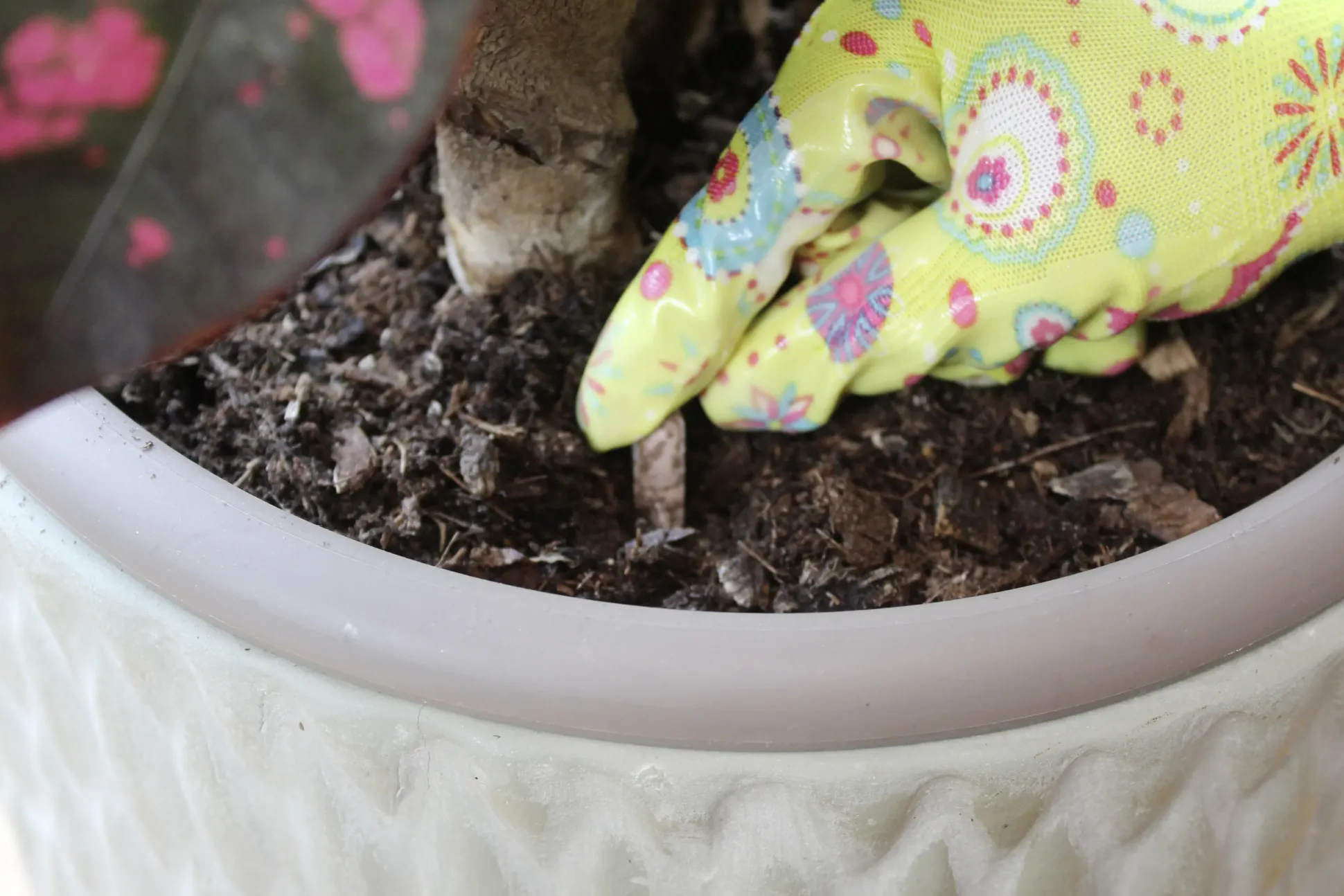 Protect Garden Lizetan Plus Combistäbchen 2 in 1 10 Stück