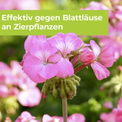Protect Garden Lizetan Plus Blattlausfrei AF 1 l