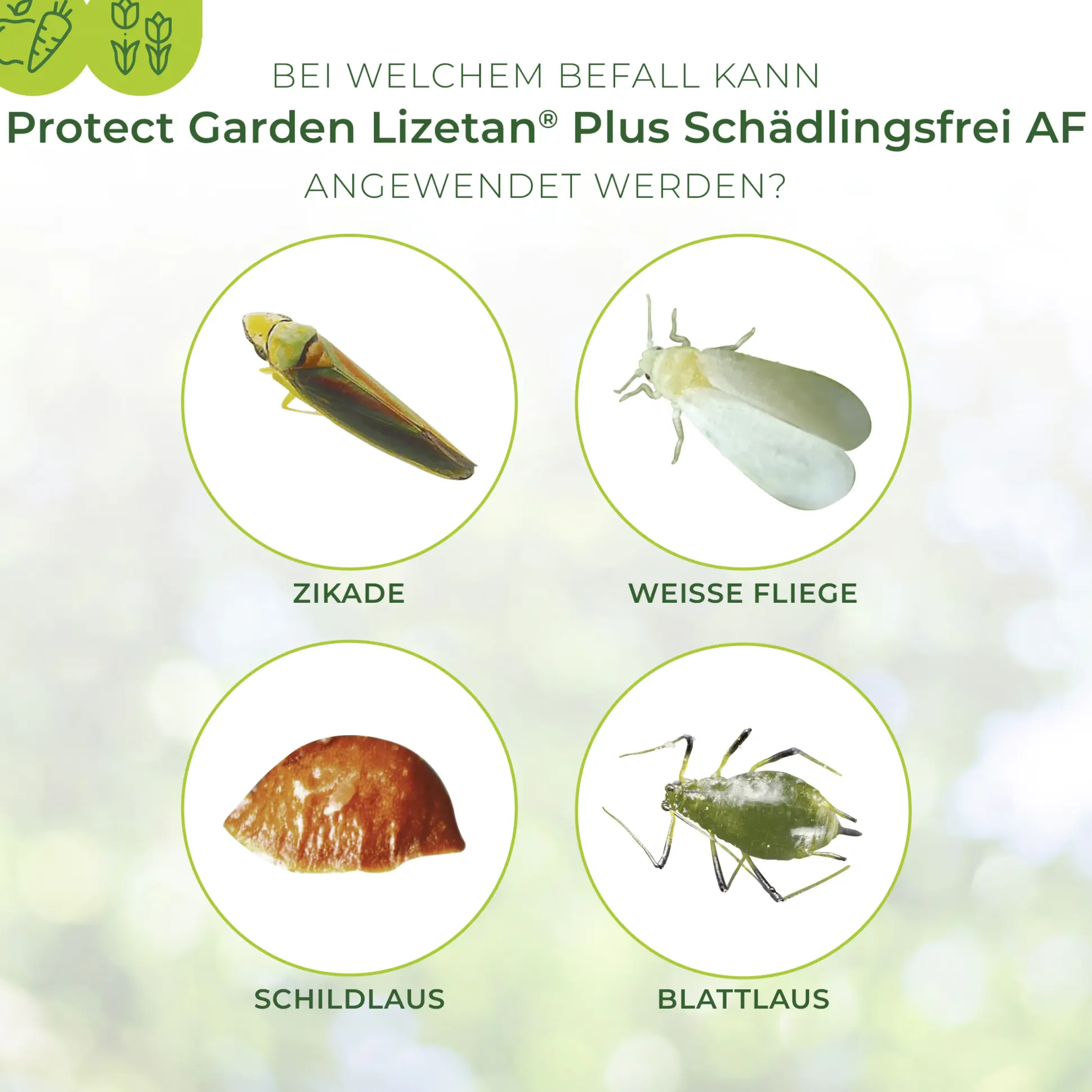 Protect Garden Lizetan Plus Schädlingsfrei AF 3 l