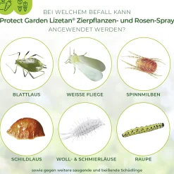 Protect Garden Lizetan Zierpflanzen- & Rosen-Spray AF 500 ml