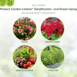 Protect Garden Lizetan Zierpflanzen- & Rosen-Spray AF 500 ml