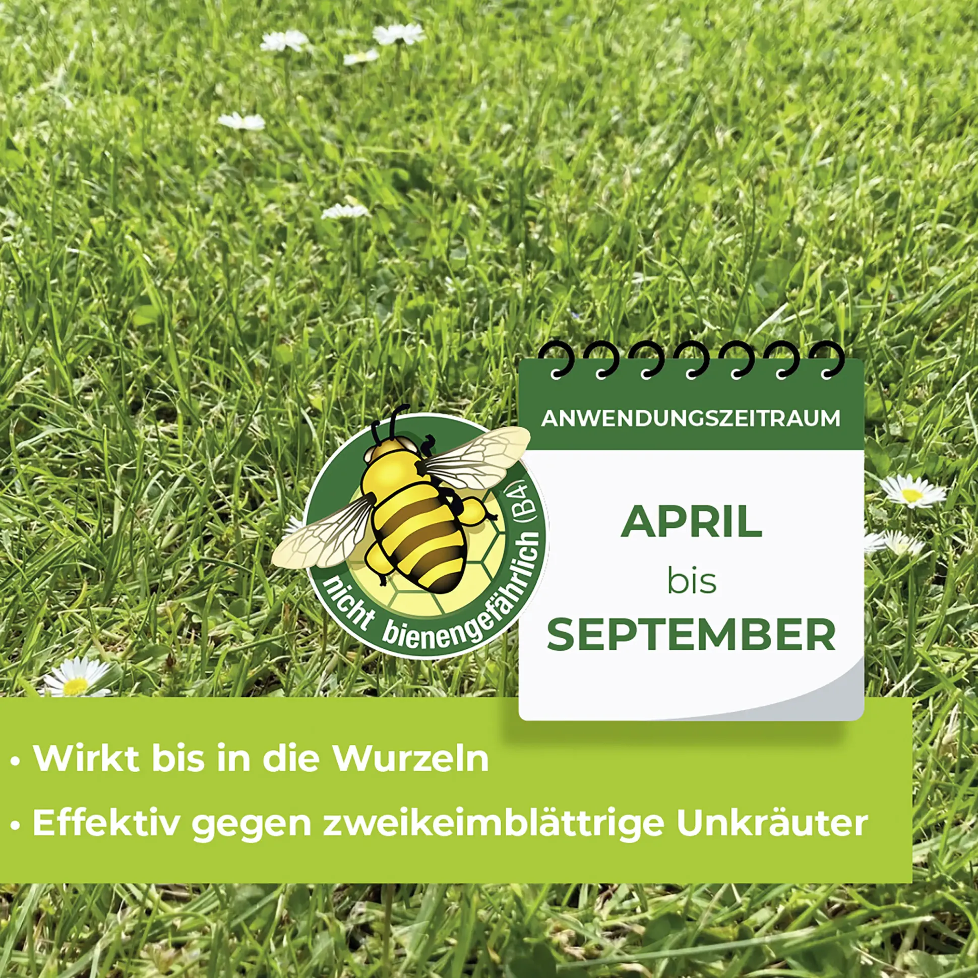 Protect Garden Loredo Quattro Universal Rasenunkrautfrei 100 ml