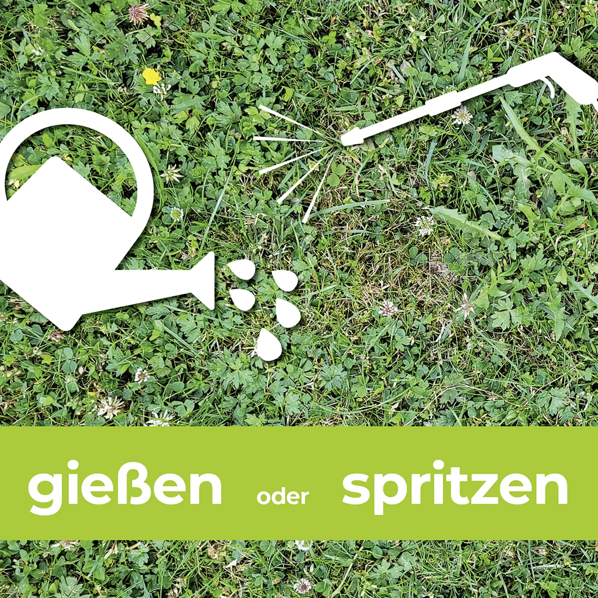 Protect Garden Loredo Quattro Universal Rasenunkrautfrei 100 ml